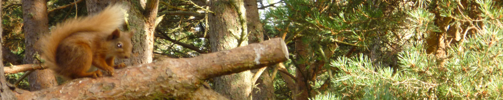 header-gallery